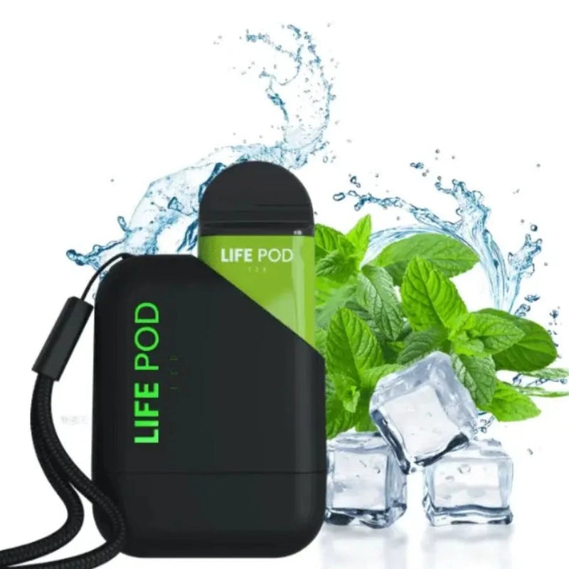 KIT LIFE POD 5000 PUFF BATERIA + CARTUCHO - CAIXA COM 10 UNIDADES
